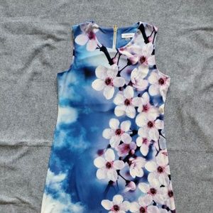 Women's Calvin Klein Blue Floral Sleeveless Dress Size 6